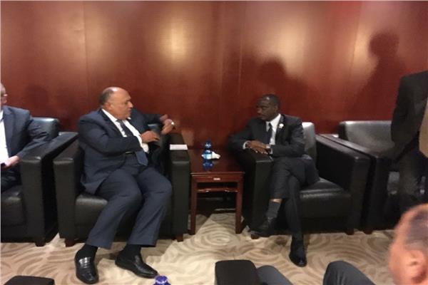 شكري يبحث مع وزير خارجية رواندا الإصلاح المؤسسي للاتحاد الأفريقي
