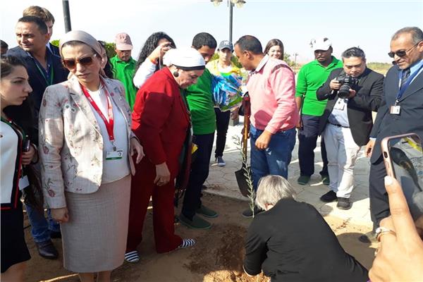  وزيرة البيئة تزرع أشجار الزيتون