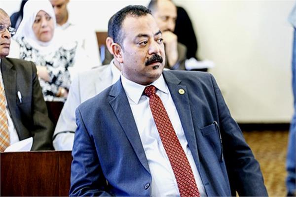 علي عبد الونيس، وكيل لجنة حقوق الإنسان بمجلس النواب