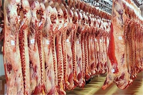 الزراعة تواصل حملاتها المكثفة على أسواق اللحوم