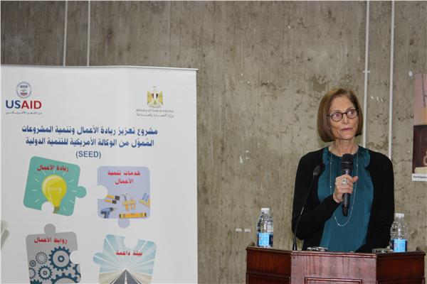شيري كارلين، مديرة الوكالة الأمريكية للتنمية الدولية في مصر
