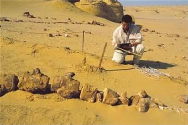 مصر تشارك بحلقة نقاشية حول «رحلة التنوع البيولوجي خلال 40 مليون سنة»