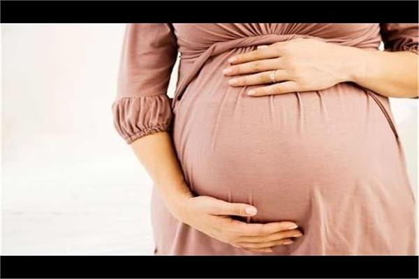 حامل - صورة أرشيفية 