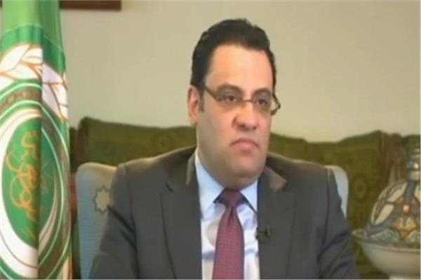  السفير محمود عفيفي