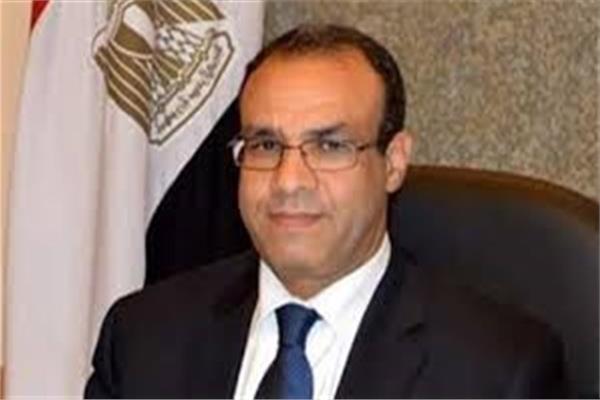  السفير بدر عبد العاطي، سفير مصر لدى برلين