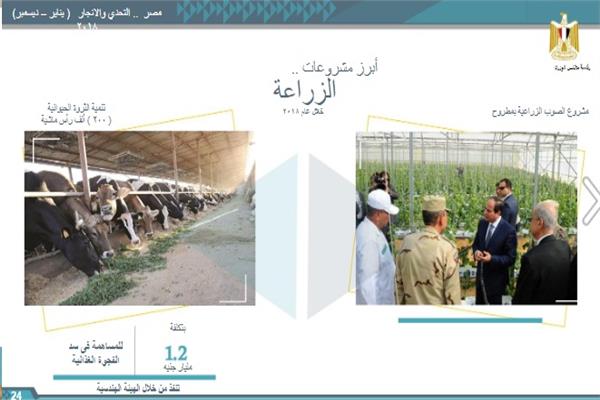 إنجازات مصر في مجال الزراعة تحقق 3.8 مليار جنيه