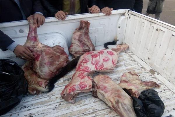  تحرير ١٣٠٦ محضرا في حملات التفتيش على اللحوم خلال شهر