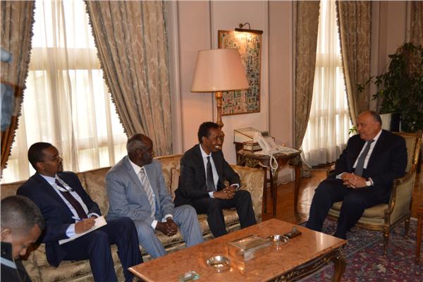 وزير الخارجية يلتقي بنظيره الصومالي 
