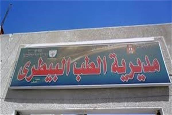 الطب البيطري بالقاهرة: وقف أجازات الأطباء حتى نهاية شم النسيم