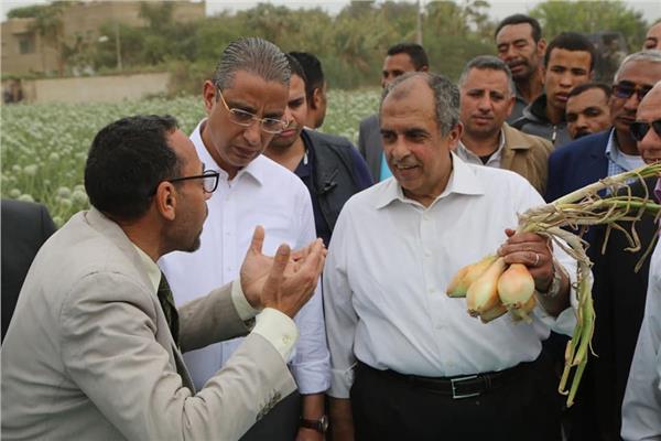 الدكتور عز الدين أبوستيت وزير الزراعة