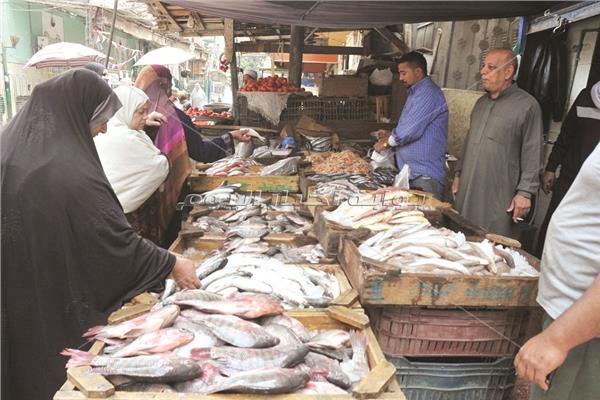تراجع الإقبال على شراء الأسماك بسبب جنون الأسعار