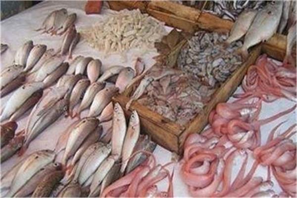 أسعار الأسماك في سوق العبور الثلاثاء 16 ابريل