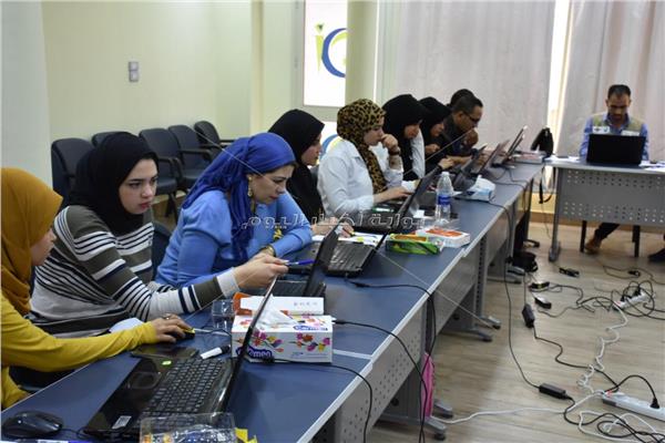 البعثة الدولية لمتابعة الاستفتاء: مشاركة كثيفة في لجان القاهرة والجيزة