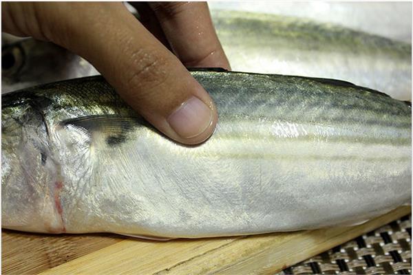 ​قبل «شم النسيم»..الزراعة توضح شروط صلاحية الأسماك الطازجة