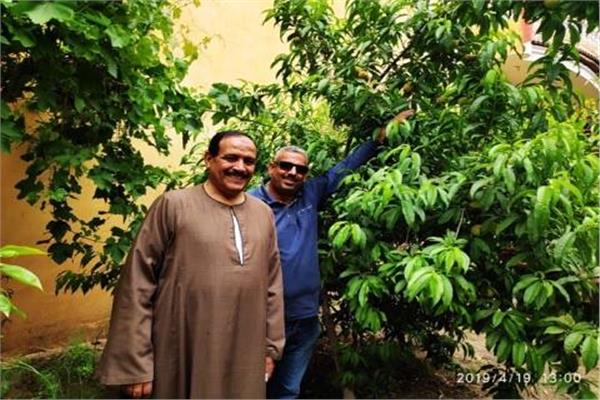 مبادرة "هنجملها" تزرع ١٢٠٠ شجرة مثمرة بالشرقية