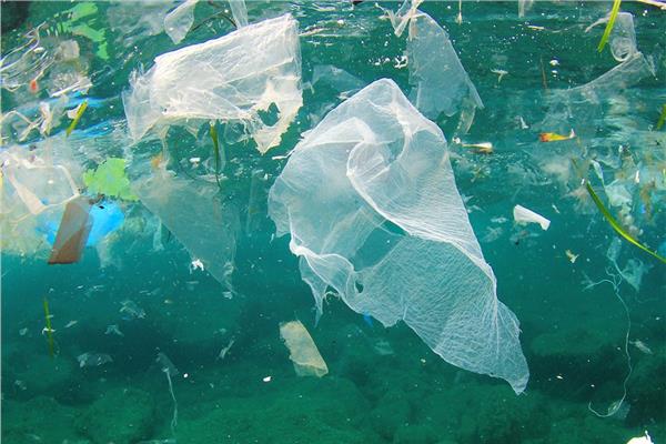 الحرب على البلاستيك|شاهد خطر النفايات البلاستيكية على الحياة البحرية
