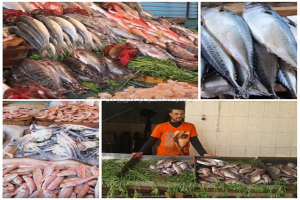 أسعار الأسماك «تشوي» المصريين.. و7 أسباب تشعل بورصة المأكولات البحرية- صورة مجمعة