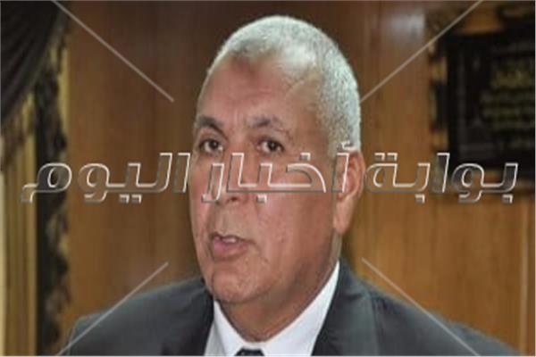 محافظ الوادي الجديد محمد الزملوط