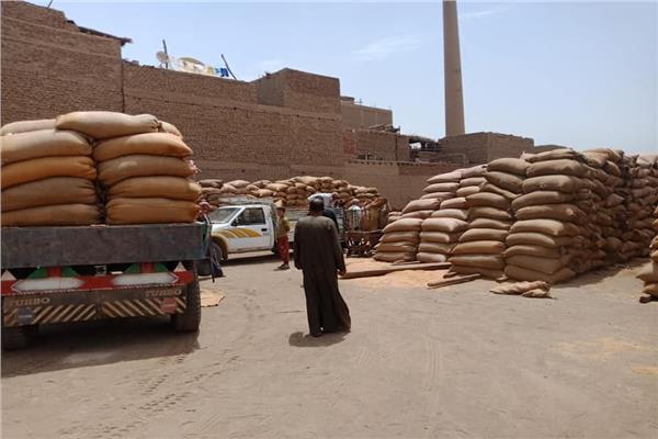 توريد القمح بشون محافظة أسيوط 