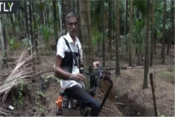 مزارع هندى يبتكر «مصعدًا» لتسلق الأشجار