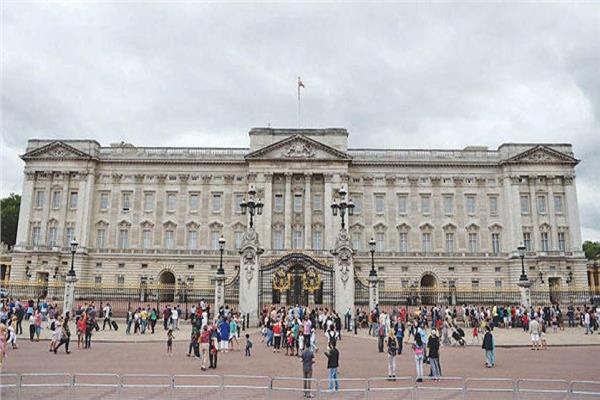 فأر في القصر الملكي ببريطانيا.. والملكة «مرعوبة»