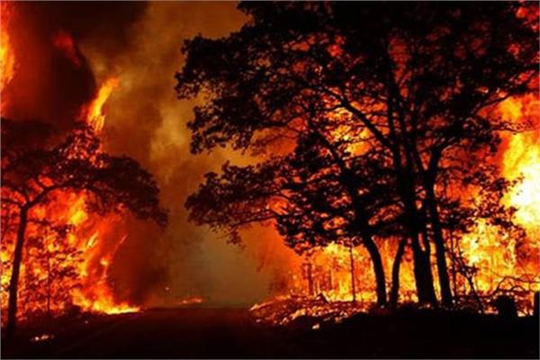 «الحر الشديد» يشعل الحرائق بغابات إسبانية