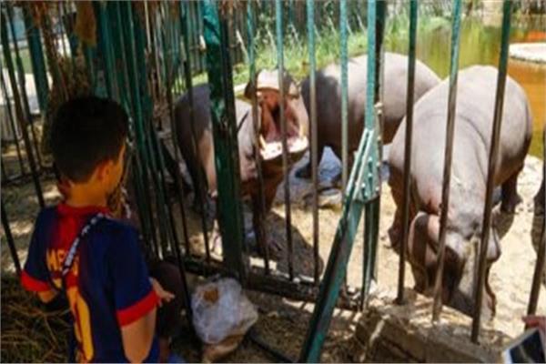 عيد الأضحى 2019| حديقة الحيوان تواصل فتح أبوابها للزائزين في ثالث أيام العيد