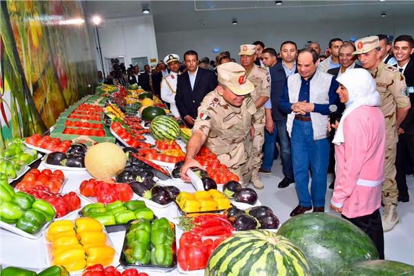 الرئيس السيسي يتفقد منتجات الصوب الزراعية بقاعدة محمد نجيب