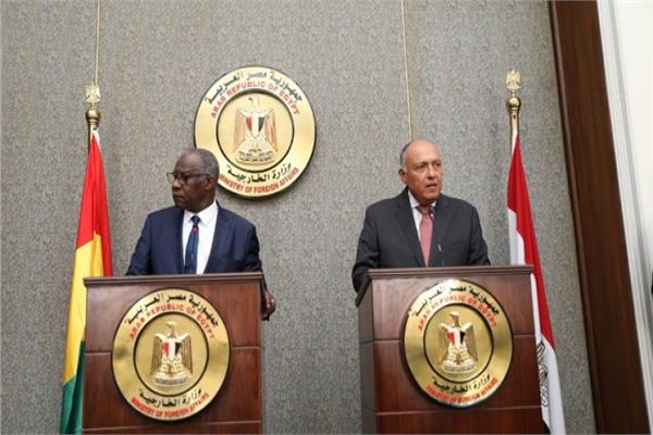 وزير الخارجية سامح شكري ووزير خارجية غينيا كوناكري ممادى