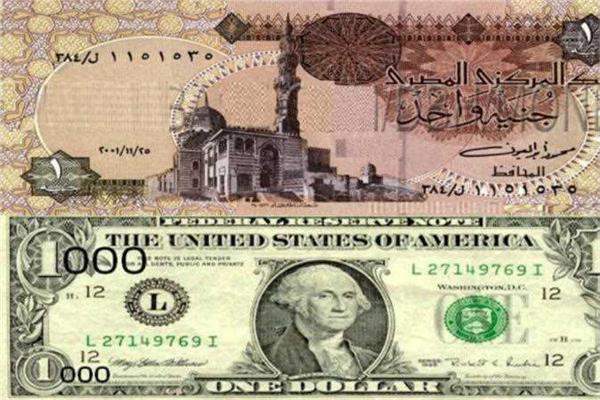 الجنيه المصري والدولار الأمريكي