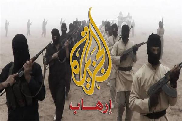 قناة الجزيرة دائمة التحريض ضد مصر وتعمل على نشر الإرهاب