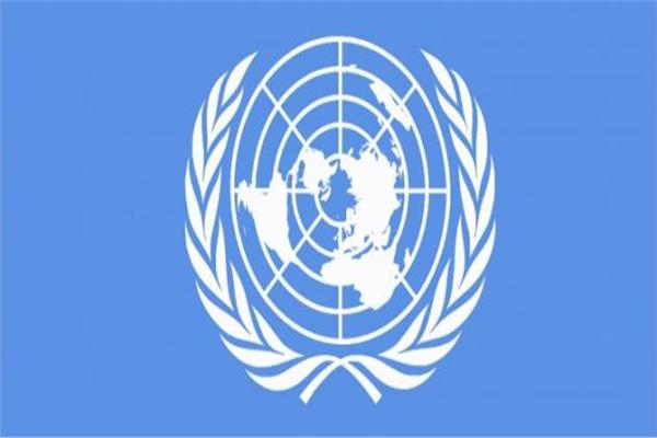 الأمم المتحدة تطالب بإصلاح حقيقي للتشريع الانتخابي في بيلاروسيا