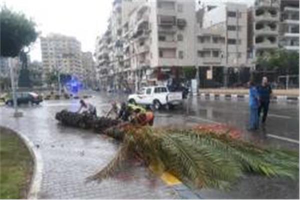تعطيل الدراسة بسبب الطقس السيئ في بورسعيد