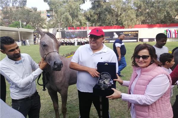 نائب وزير الزراعة تفتتح بطولة مصر القومية والدولية لجمال الخيول العرببة الأصيلة