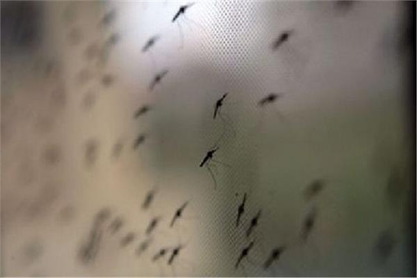  الحشرات الوبائية