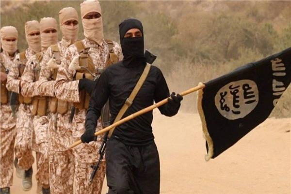 «داعش» يعلن مسؤوليته عن مقتل 30 جنديا في مالي
