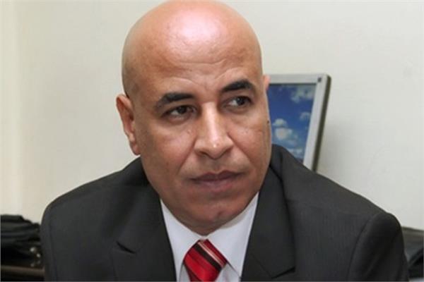 عادل حنفي نائب رئيس الإتحاد العام للمصريين بالخارج 