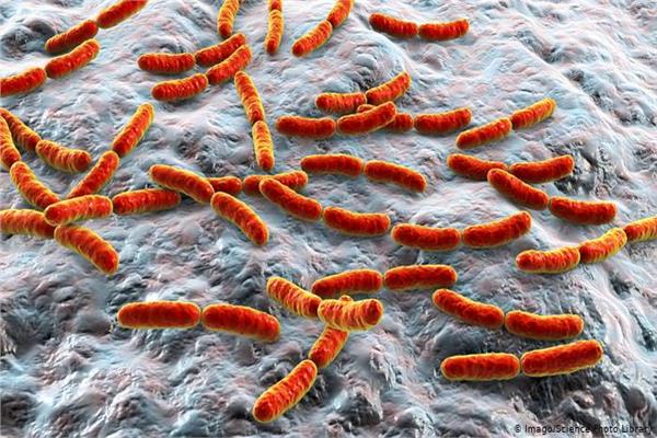 علماء كنديون يطورون سطحا ذاتي التنظيف ضد البكتيريا