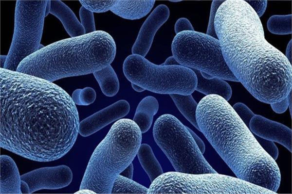 علماء كنديون يطورون سطحًا ذاتيًا التنظيف ضد البكتيريا 