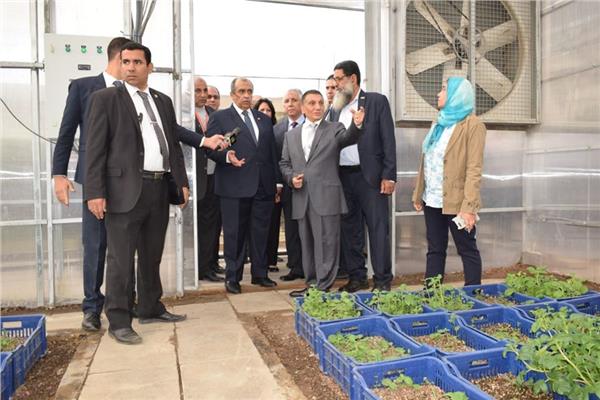  الدكتور عزالدين ابوستيت وزير الزراعة واستصلاح الأراضى