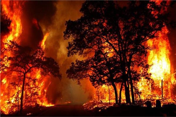السلطات الأسترالية تنوي إخلاء بلدتين مع اقتراب حرائق الغابات منهم