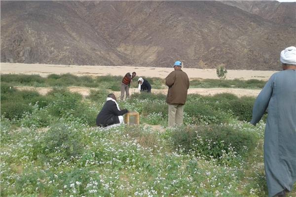 إجراءات الزراعة لرصد ومكافحة الجراد الصحراوي خلال الشتاء
