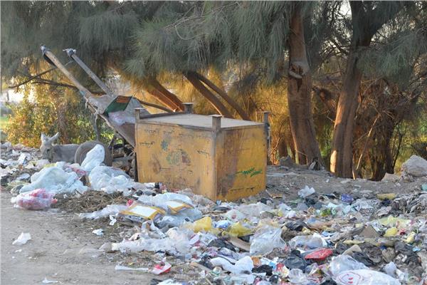 محافظ أسيوط يحيل مخالفات القمامة والإهمال بحي غرب 