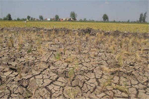 «أكساد» تنظم ورشة عمل التغيرات المناخية وتأثيرها على القطاع الزراعي