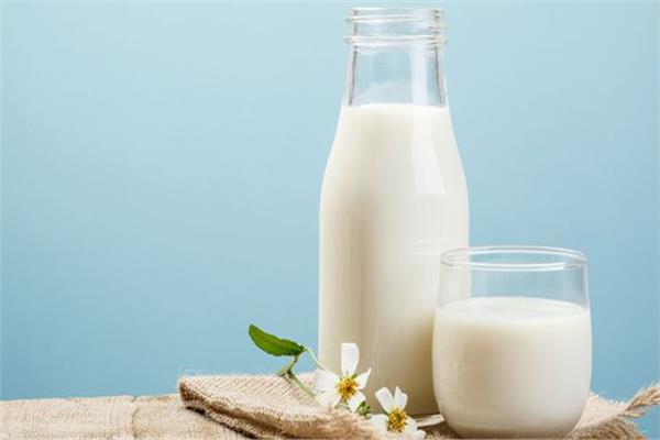 الحليب كامل الدسم يحمي الأطفال من السمنة
