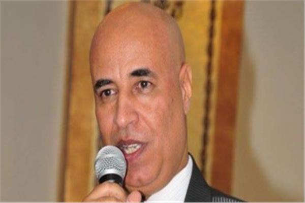 عادل حنفي، نائب رئيس الاتحاد العام للمصريين في الخارج 