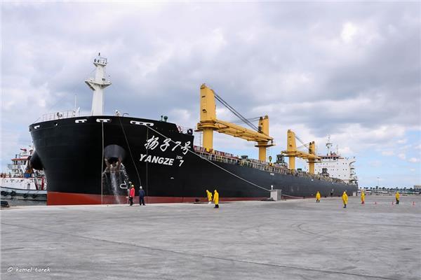 اخضاع سفينة صينية لاجراءات الحجر الصحي بميناء دمياط