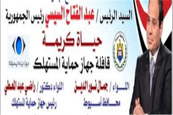 مبادرة السيد الرئيس عبد الفتاح السيسى "حياة كريمة"