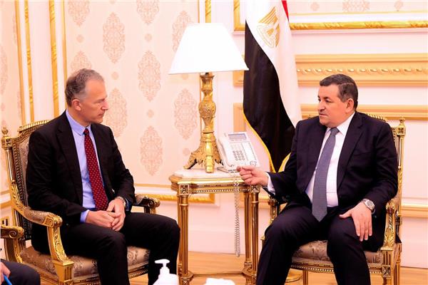 هيكل يلتقي السفير الأمريكي لدى القاهرة
