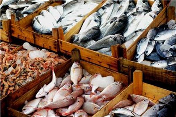  أسعار الأسماك